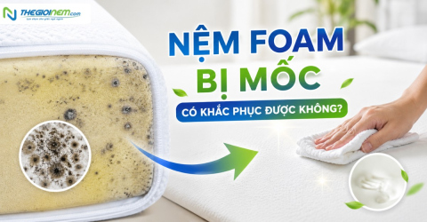Nệm foam bị mốc có khắc phục được không?