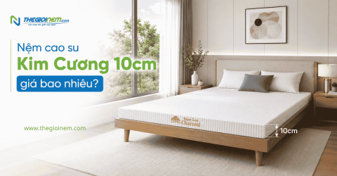 Nệm cao su Kim Cương 10cm giá bao nhiêu?