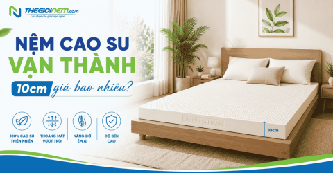 Nệm cao su vạn thành 10cm giá bao nhiêu?​ | Thegioinem.com