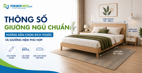 Thông số giường ngủ chuẩn: Hướng dẫn chọn kích thước và giường nệm phù hợp