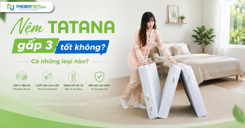 Nệm TATANA gấp 3 tốt không? Có những loại nào?