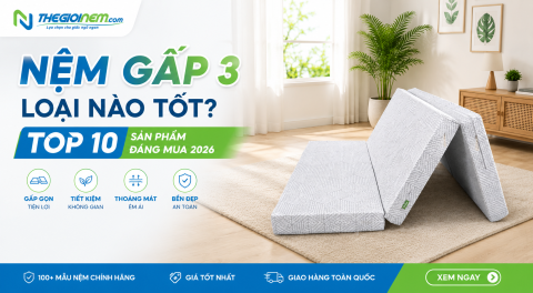 Nệm gấp 3 loại nào tốt? Top 10 sản phẩm đáng mua 2026