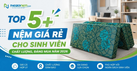 Top 5+ nệm giá rẻ cho sinh viên đáng mua nhất 2026