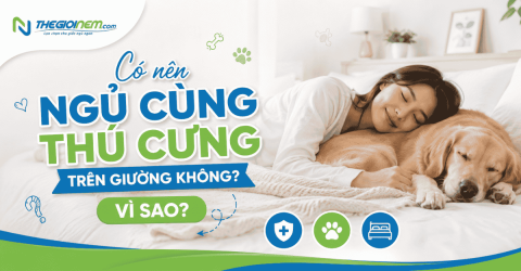 Có nên ngủ cùng thú cưng trên giường không? Vì sao?