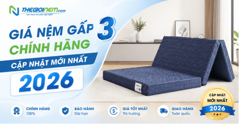 Giá nệm gấp 3 chính hãng, cập nhật mới nhất 2026