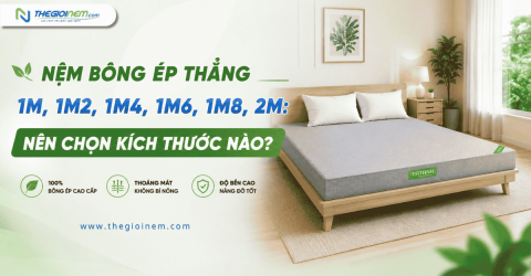 Nệm bông ép thẳng 1m, 1m2, 1m4, 1m6, 1m8, 2m: Nên chọn kích thước nào?