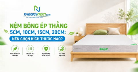 Nệm bông ép thẳng 5cm, 10cm, 15cm, 20cm: Nên chọn kích thước nào?