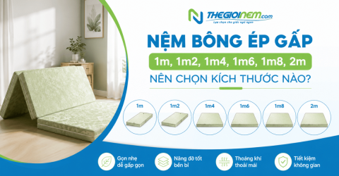 Nệm bông ép gấp 1m, 1m2, 1m4, 1m6, 1m8, 2m: Nên chọn kích thước nào?