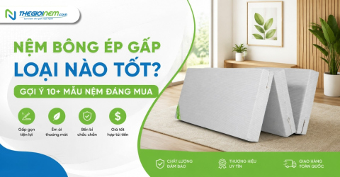 Nệm bông ép gấp loại nào tốt? Gợi ý 10+ mẫu nệm đáng mua 2026