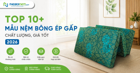 Top 10+ mẫu nệm bông ép gấp chất lượng, giá tốt 2026