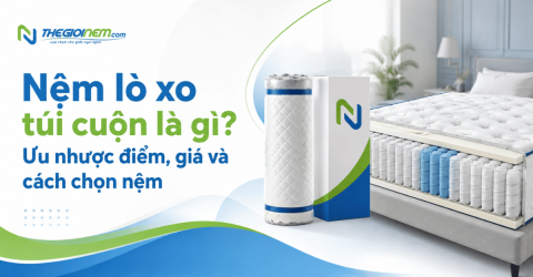 Nệm lò xo túi cuộn là gì? Ưu nhược điểm, giá và cách chọn nệm