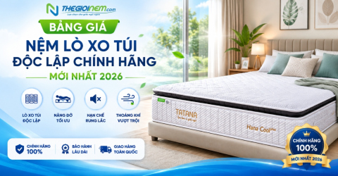 Bảng giá nệm lò xo túi độc lập chính hãng, mới nhất 2026