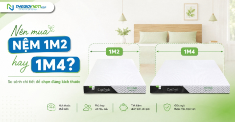 Nên mua nệm 1m2 hay 1m4?