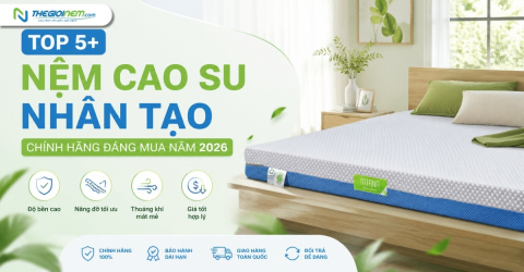 Top 5+ nệm cao su nhân tạo chính hãng đáng mua năm 2026