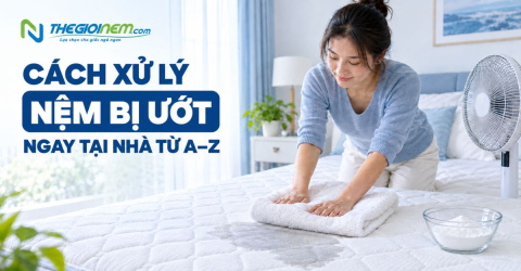 Cách xử lý nệm bị ướt ngay tại nhà từ A–Z