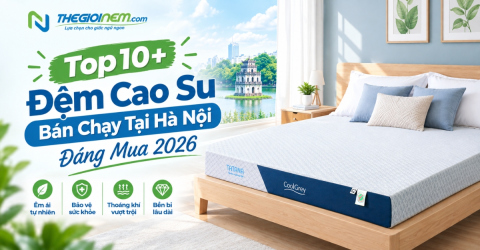 Top 10 đệm cao su bán chạy tại Hà Nội