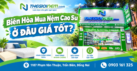 Biên Hòa Mua Nệm Cao Su Ở Đâu Giá Tốt?