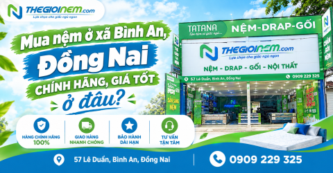 Mua nệm ở xã Bình An, Đồng Nai chính hãng, giá tốt ở đâu?