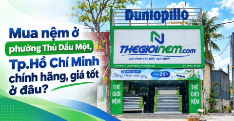 Mua nệm ở phường Thủ Dầu Một, Tp.Hồ Chí Minh chính hãng, giá tốt ở đâu?